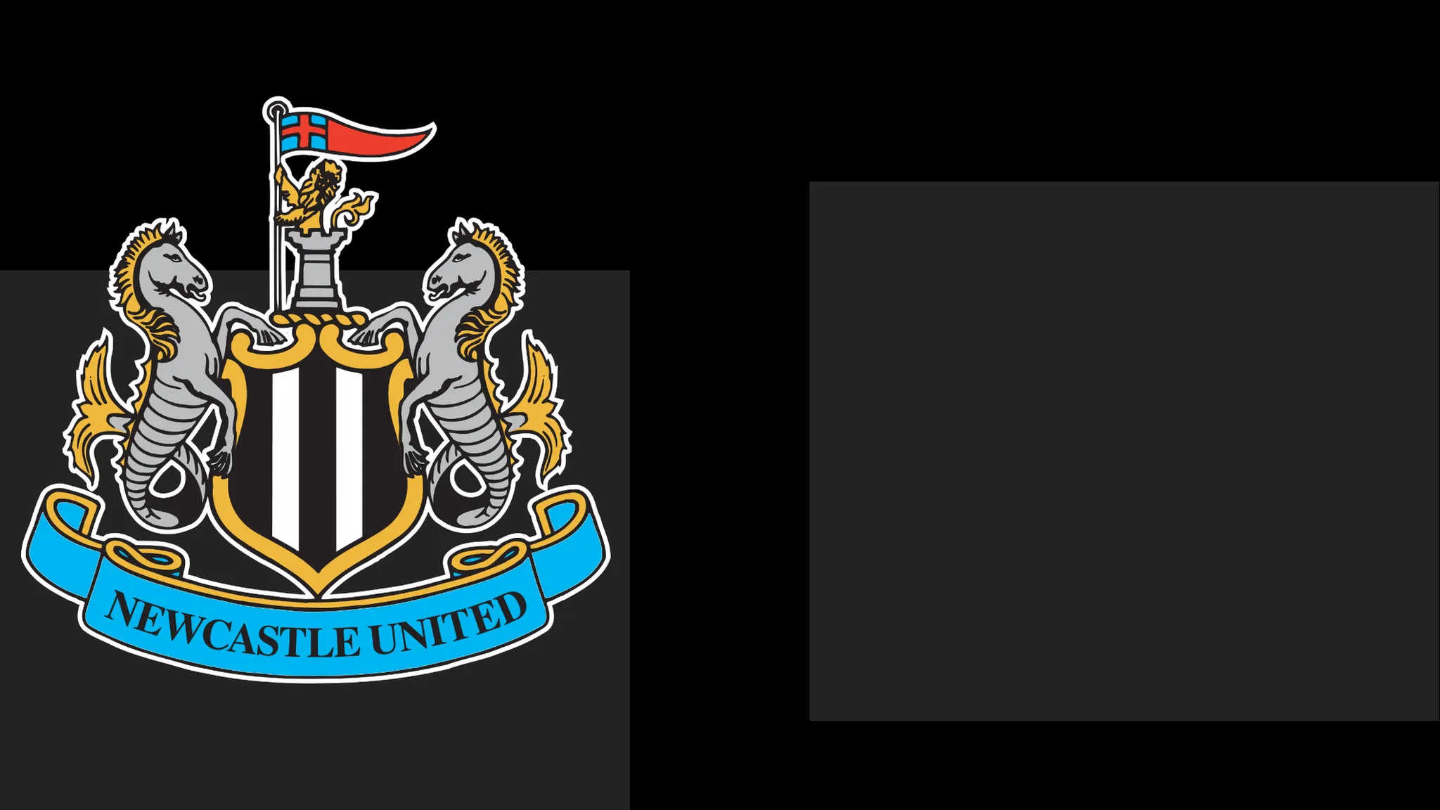 Newcastle's boss Praises Team's Spirit – Yet That Only Carries Them To a Point
